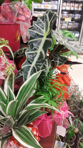 Albertsons image