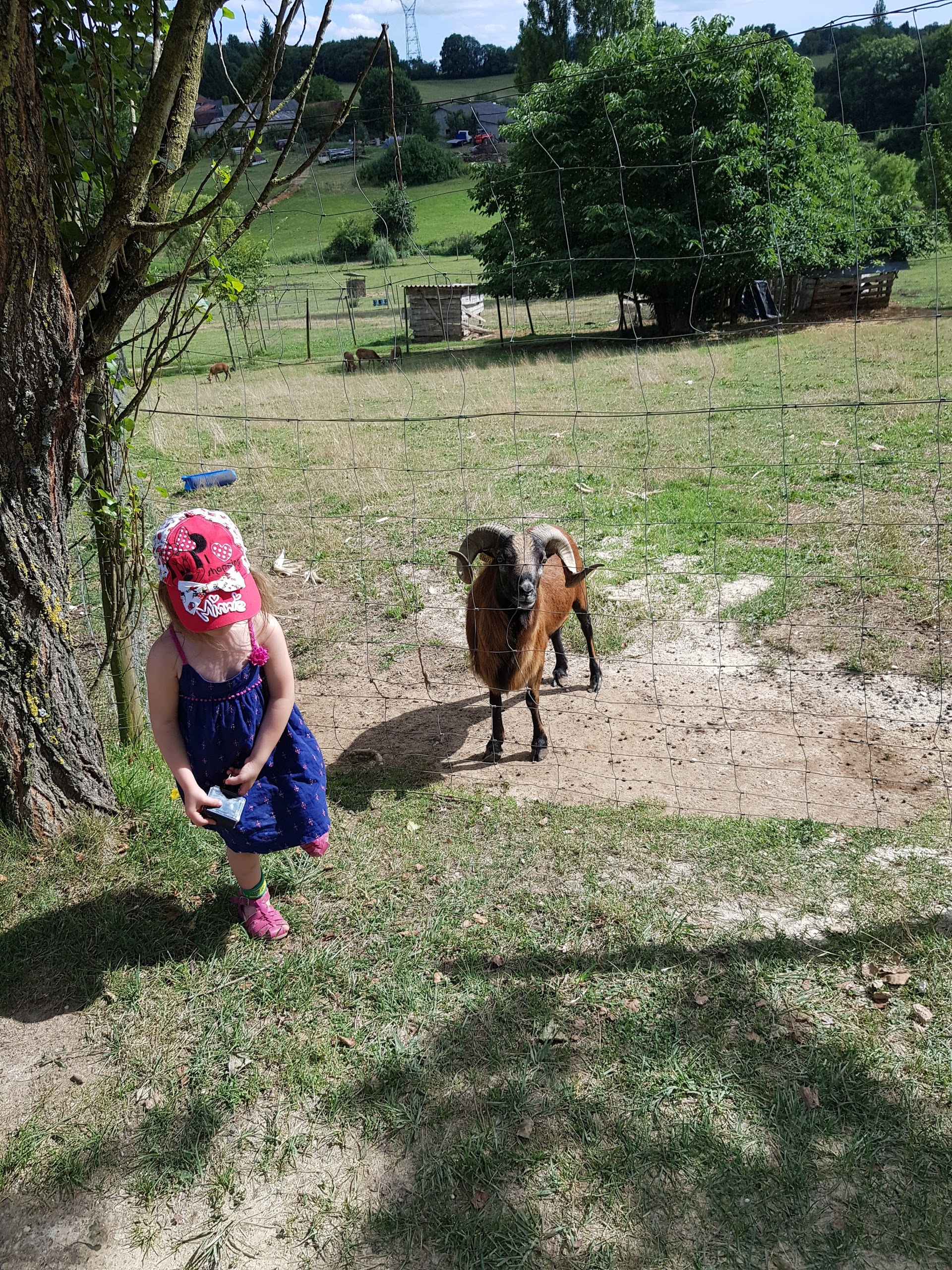 Photo n° 5 de l'avis de Gribs. fait le 13/08/2017 à 17:24