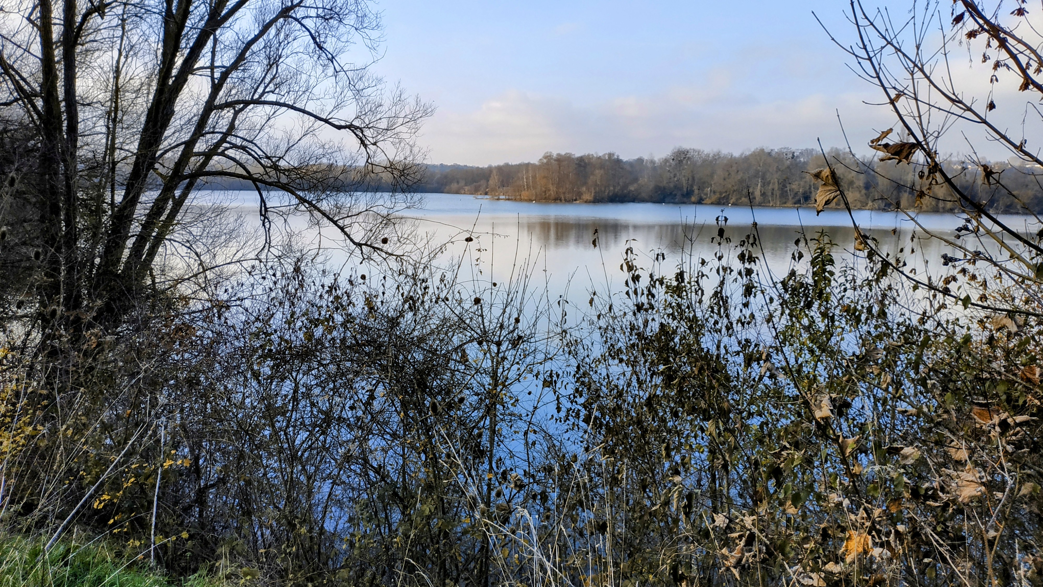 Photo n° 6 de l'avis de The.a fait le 12/12/2022 à 16:29