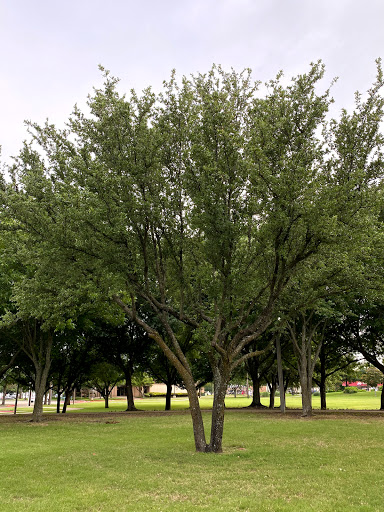 Park «Armstrong Park», reviews and photos, 100 James Collins Blvd, Duncanville, TX 75116, USA