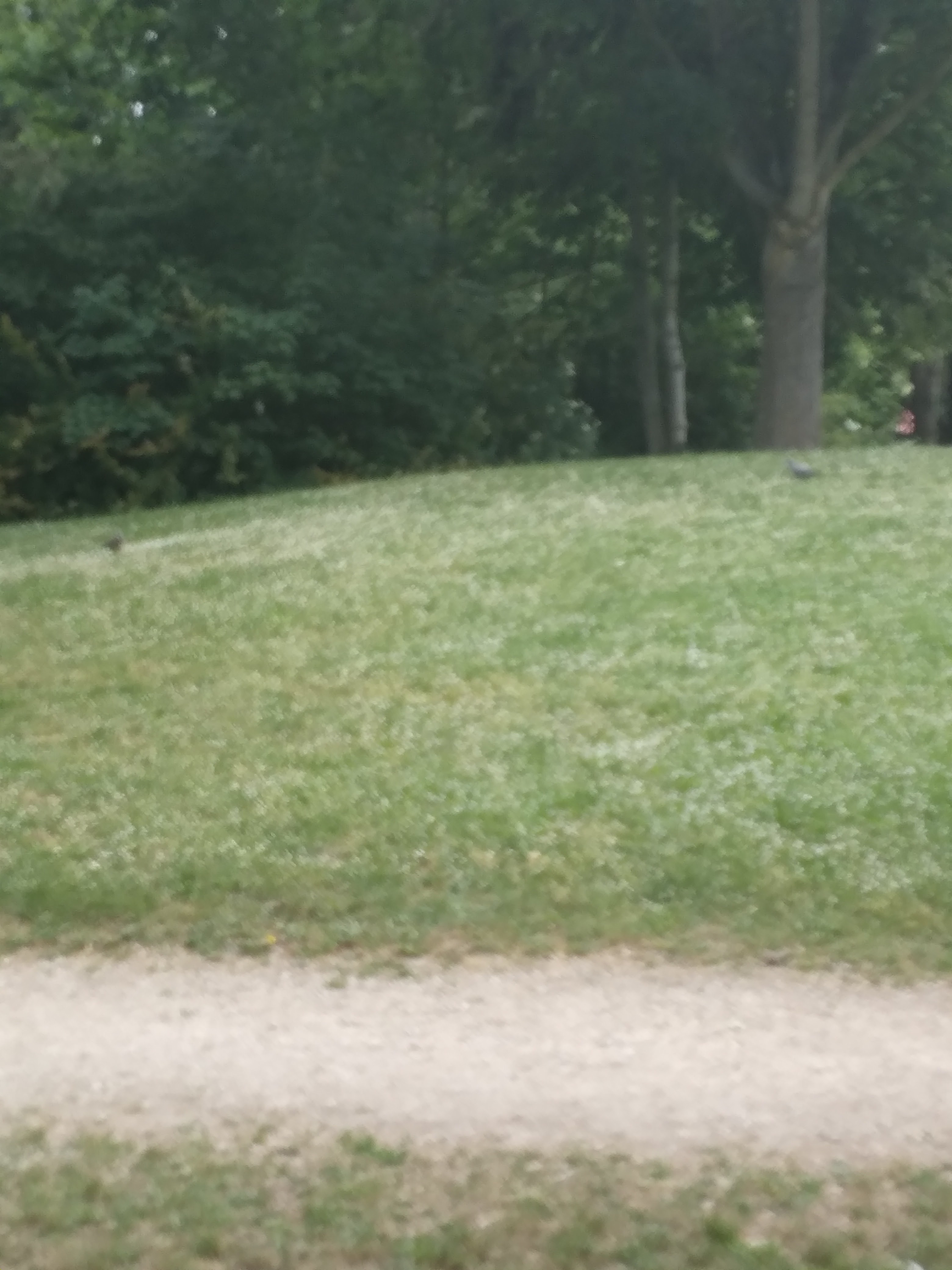 Photo n° 7 de l'avis de Telle.r fait le 22/05/2022 à 13:55
