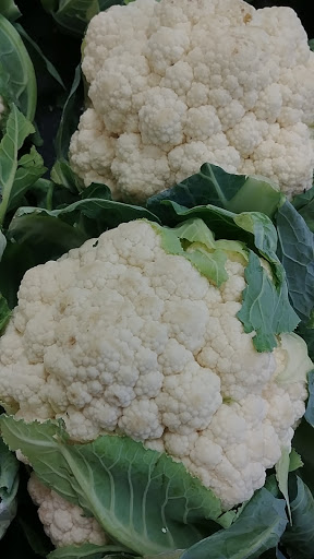 Grocery Store «Stop & Shop», reviews and photos, 575 Greenwich Ave, Warwick, RI 02886, USA