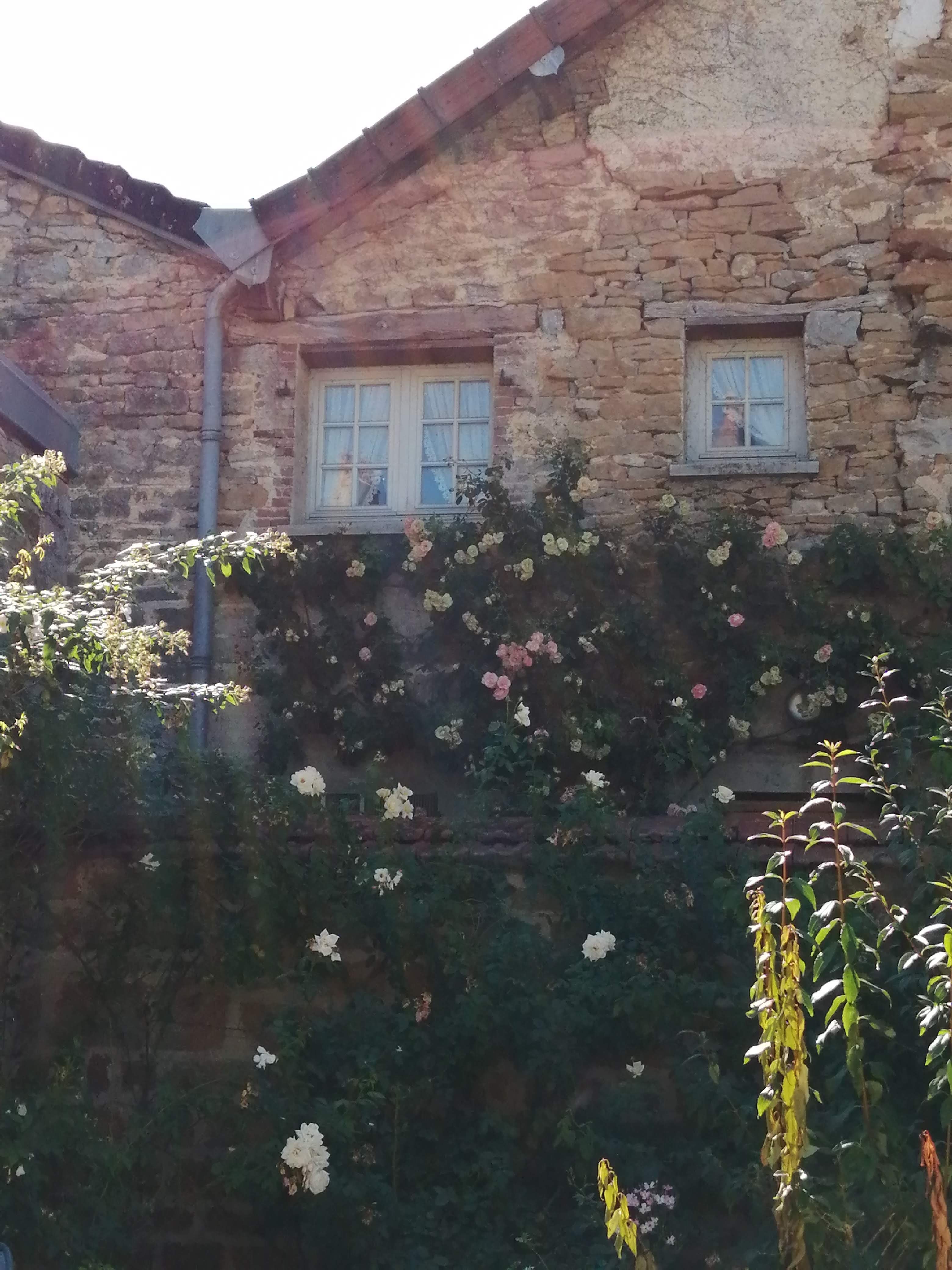 Photo n° 8 de l'avis de Mado.e fait le 06/09/2022 à 11:43