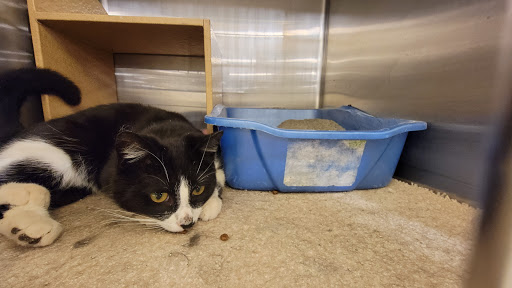 Pet Supply Store «PetSmart», reviews and photos, 4540 Grape Rd, Mishawaka, IN 46545, USA