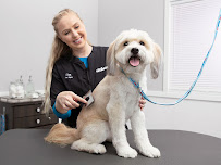 PetSmart - Photo 3 - Car repair in Rancho Santa Margarita, CA, Mission Viejo