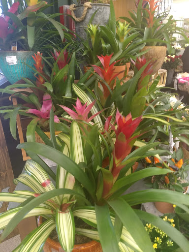 Grocery Store «Jewel-Osco», reviews and photos, 333 E Euclid Ave, Mt Prospect, IL 60056, USA