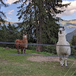 Photo n°2 de l'avis de Marco.a fait le 30/07/2021 à 18:52 sur le  Malga Frattasecca à Peio Fonti