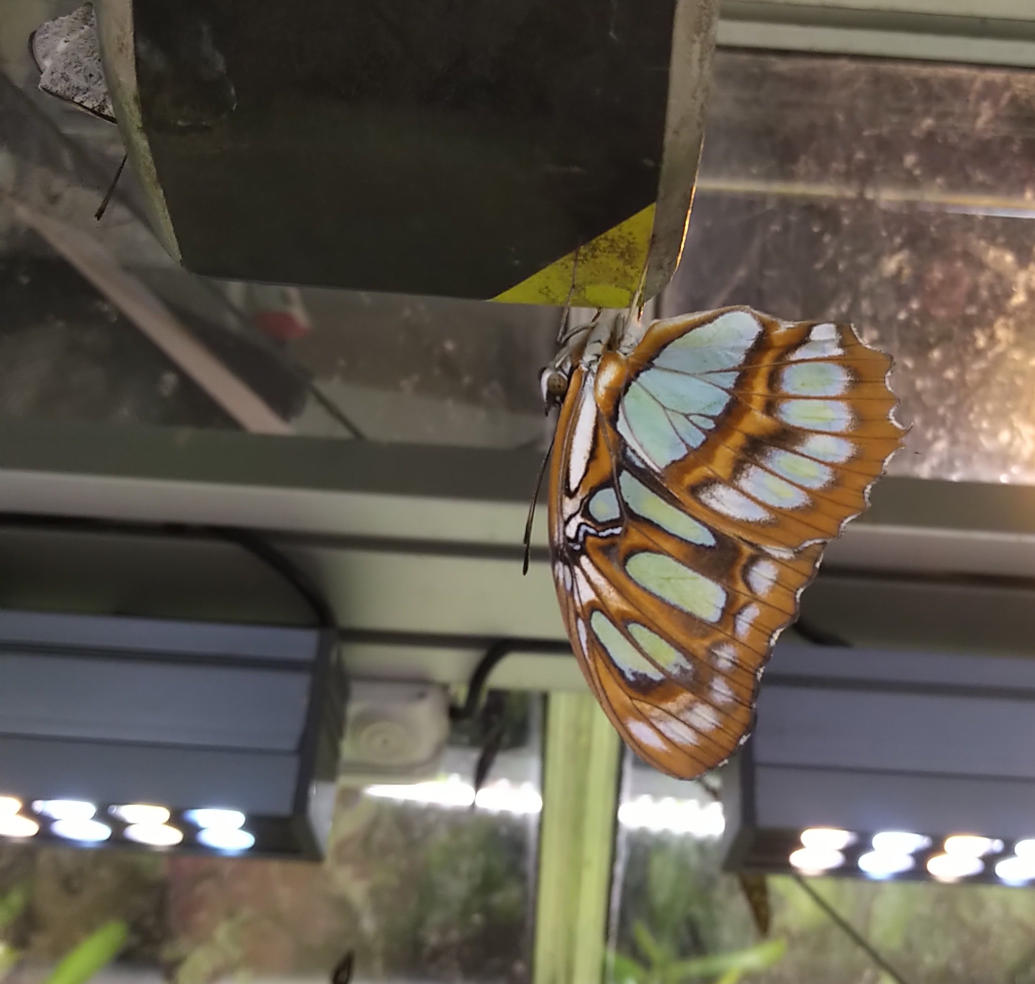 Photo n° 1 de l'avis de Deborah. fait le 09/08/2022 à 08:44