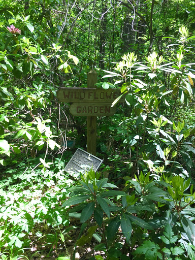 Arboretum «The University of Alabama Arboretum», reviews and photos, 4801 Arboretum Way, Tuscaloosa, AL 35404, USA