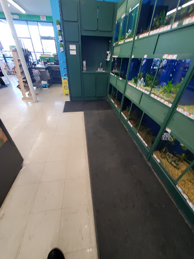Pet Supply Store «Pet Supplies Plus», reviews and photos, 471 Boston Post Rd, Orange, CT 06477, USA