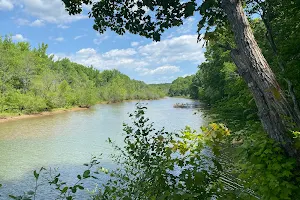 Buckeye Cove Nature Preserve image