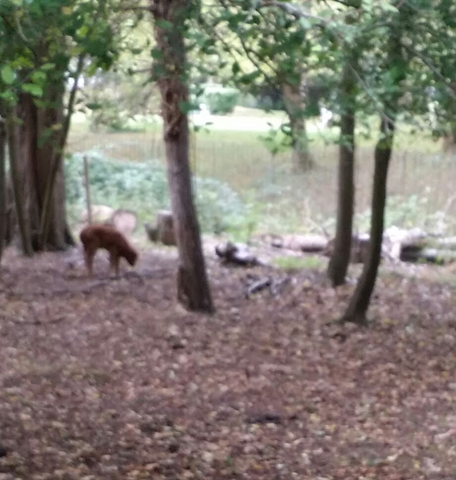 Photo n° 1 de l'avis de Josiane.e fait le 20/10/2019 à 08:41