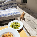 Photo n°3 de l'avis de Luca. fait le 21/08/2022 à 13:58 sur le  La Focacceria degli Orsini à Galatina