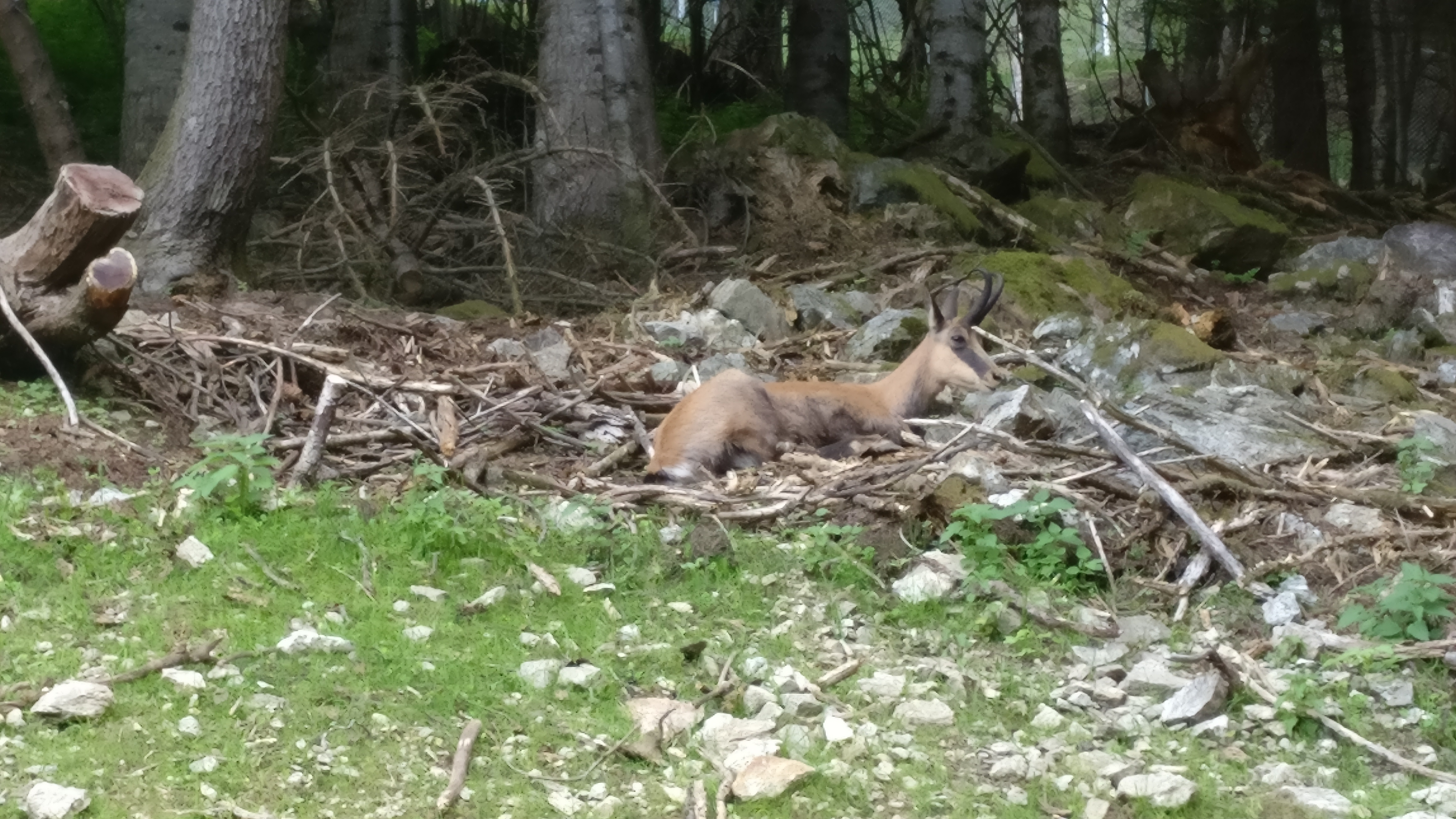 Photo n° 2 de l'avis de Olivier.r fait le 08/08/2018 à 17:52