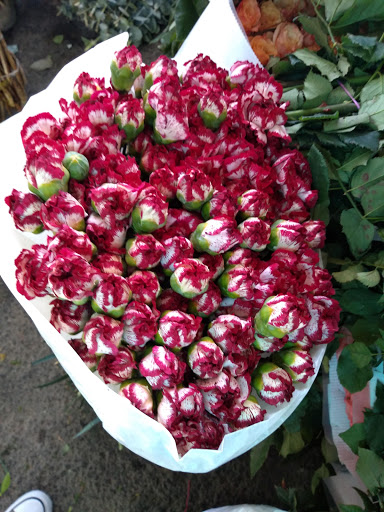 Globos y Flores del Sureste