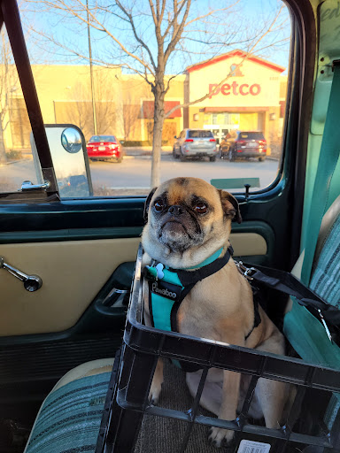 Pet Supply Store «Petco Animal Supplies», reviews and photos, 2210 N Eagle Rd, Meridian, ID 83646, USA