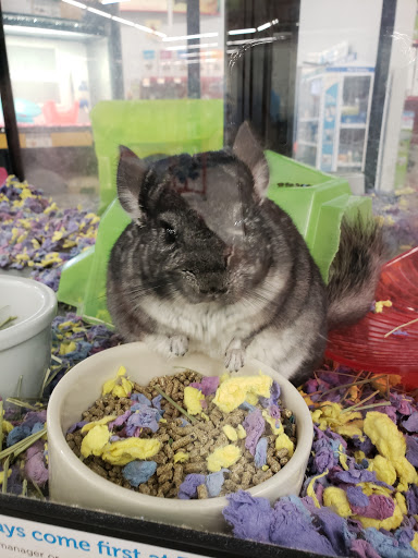 Pet Supply Store «Petco Animal Supplies», reviews and photos, 1110 Harter Pkwy, Yuba City, CA 95993, USA