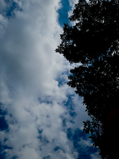 Park «Lake Waconia Regional Park», reviews and photos, 8170 Paradise Ln, Waconia, MN 55387, USA