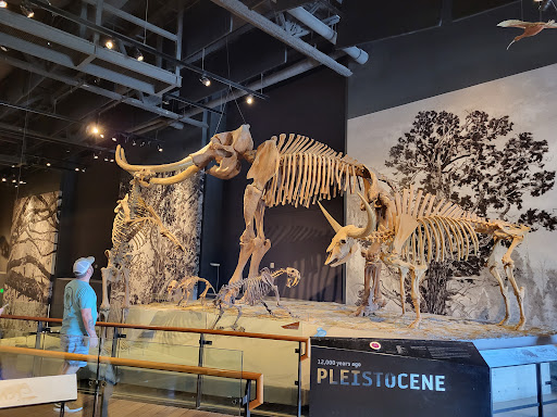 Natural History Museum «Natural History Museum of Utah», reviews and photos, 301 Wakara Way, Salt Lake City, UT 84108, USA