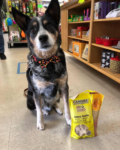 Pet Supply Store «Pets Choice», reviews and photos, 454 Daniel Webster Hwy, Merrimack, NH 03054, USA