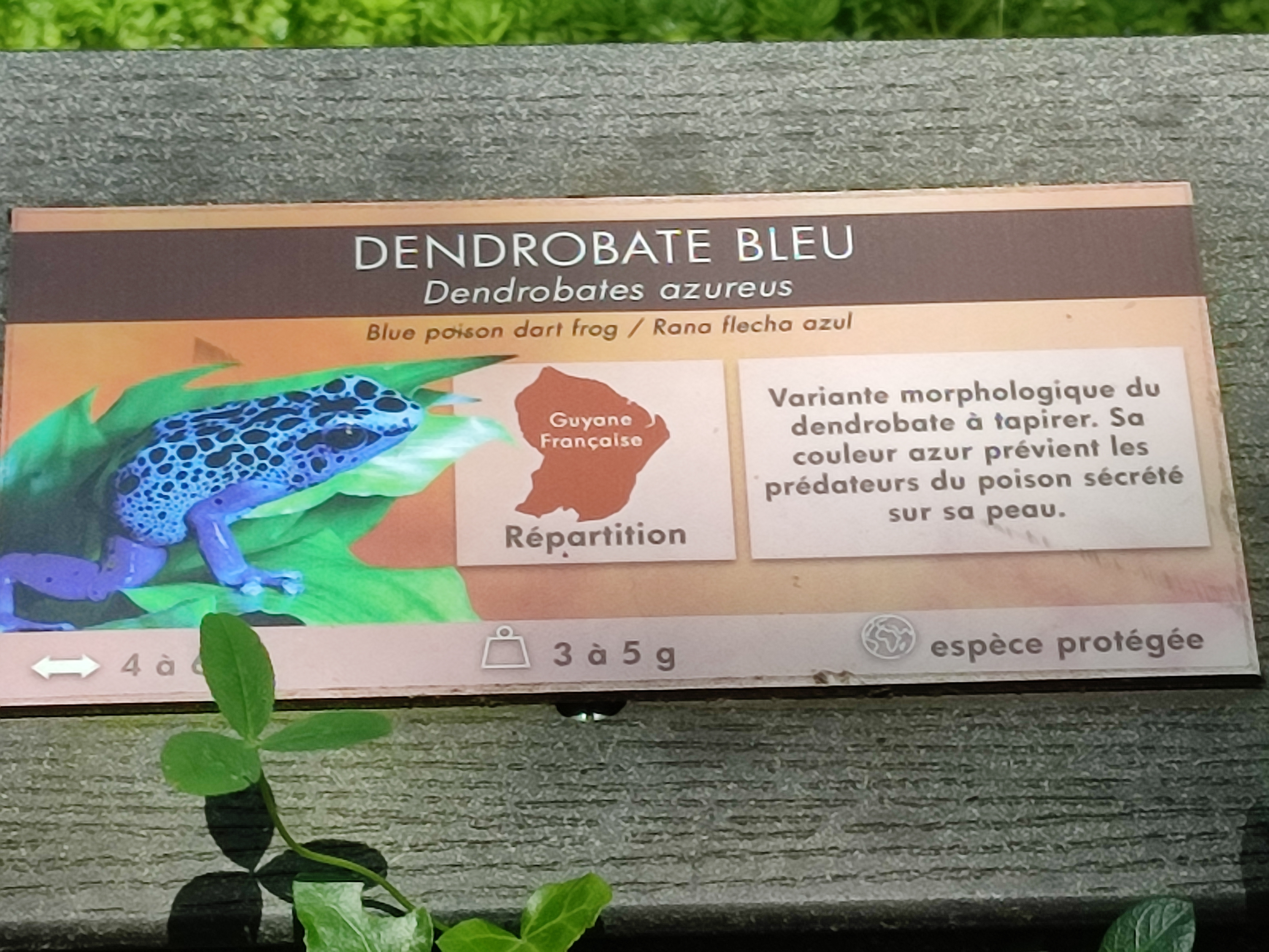 Photo n° 10 de l'avis de Julien.a fait le 02/06/2023 à 04:00