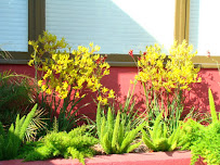 B&H Perez Landscaping - Photo 7 - Car repair in , Lancaster