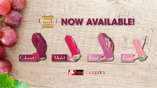 Adult Entertainment Store «Lovers Playground», reviews and photos, 1013 N College Ave, Bloomington, IN 47404, USA