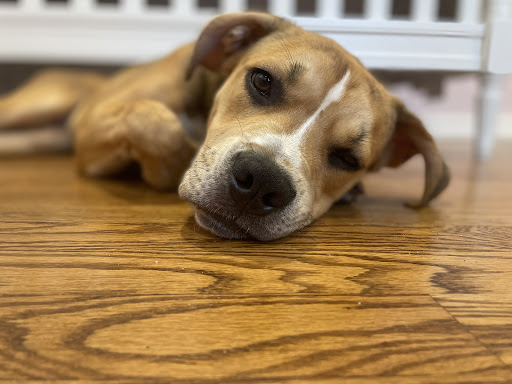 524 New Friendship Rd, Howell, NJ 07731, USA