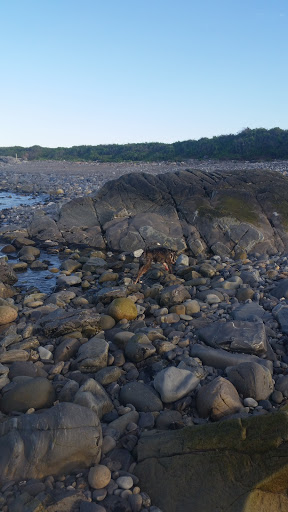 General Store «Goose Rocks Beach General Store», reviews and photos, 3 Dyke Rd, Kennebunkport, ME 04046, USA