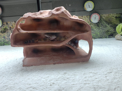 Pet Supply Store «Petco Animal Supplies», reviews and photos, 10464 Baltimore Ave, Beltsville, MD 20705, USA