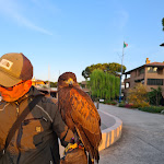 Photo n°1 de l'avis de Lorenzo.a fait le 30/04/2022 à 12:39 sur le  Ristorante La Dinette à Grado