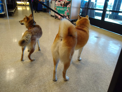 Pet Supply Store «PetSmart», reviews and photos, 16086 Jackson Creek Pkwy, Monument, CO 80132, USA