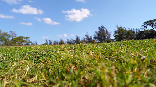 Country Club «Ironhorse Country Club», reviews and photos, 8055 Ironhorse Blvd, West Palm Beach, FL 33412, USA