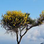 Photo n°3 de l'avis de Luigi.i fait le 15/10/2022 à 22:23 sur le  Rifugio Pornito à Maranola