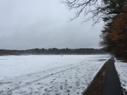 Playground «Haskell Field», reviews and photos, 40 Fairbank Rd, Sudbury, MA 01776, USA