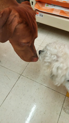 Pet Supply Store «Pet Supplies Plus», reviews and photos, 2982 S Illinois 83, Mundelein, IL 60060, USA