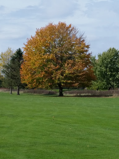 Golf Club «Indian Run Golf Club», reviews and photos, 6359 Rs Ave E, Scotts, MI 49088, USA