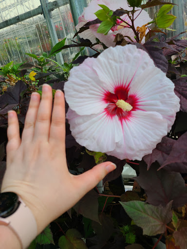 Hardware Store «Proctor Ace Hardware», reviews and photos, 5723 University Blvd W, Jacksonville, FL 32216, USA