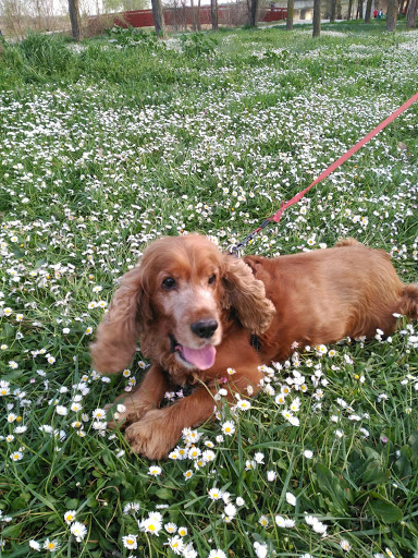 Clínica Veterinaria Asivet en Zamora