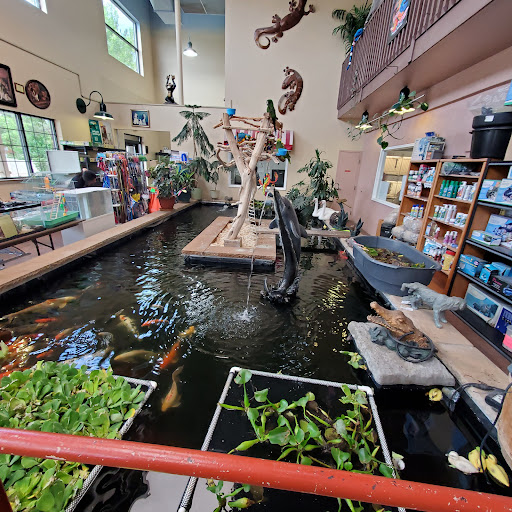 Pet Store «Pet Paradise Grooming», reviews and photos, 1115 Pueblo Blvd