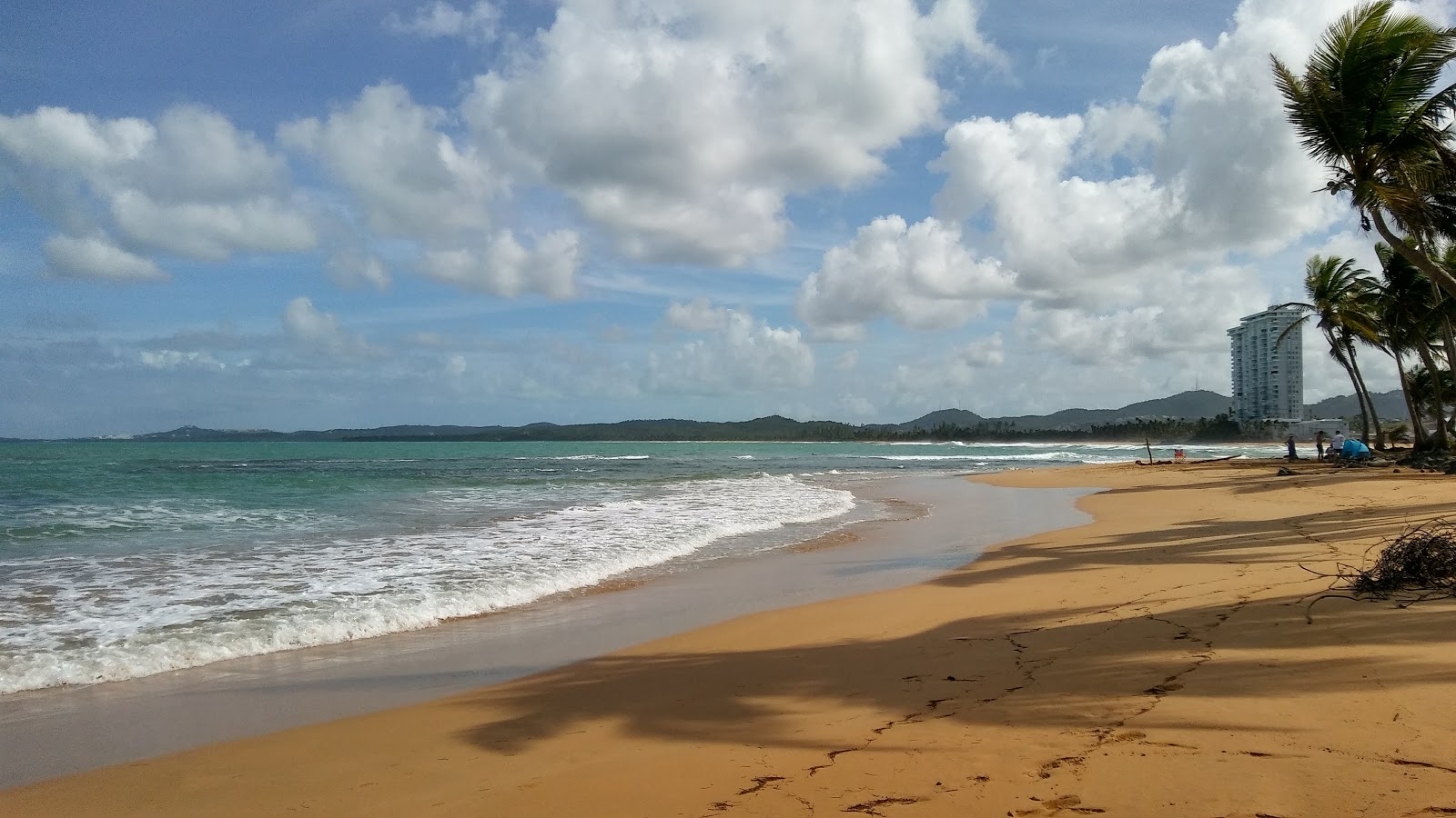 Fotografija Punta Bandera plaža z visok stopnjo čistoče