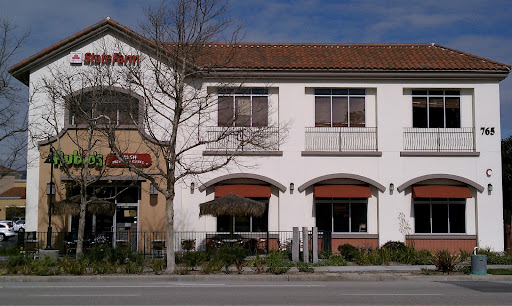 Insurance Agency «State Farm Insurance Agent - Diane Viadero CLU», reviews and photos