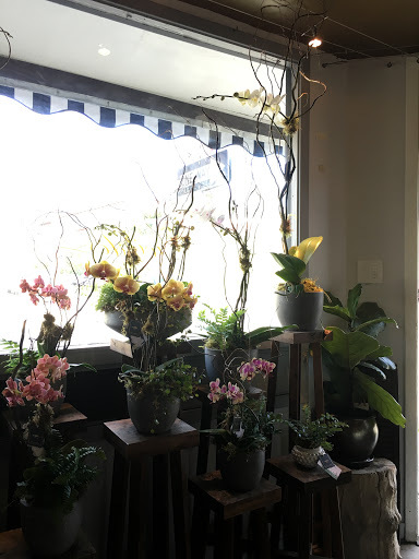 Florist «Wilder Floral Co.», reviews and photos, 1349 Chorro St, San Luis Obispo, CA 93401, USA