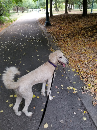 Park «Route 66 Park», reviews and photos, 920 N Broadway St, Joliet, IL 60435, USA