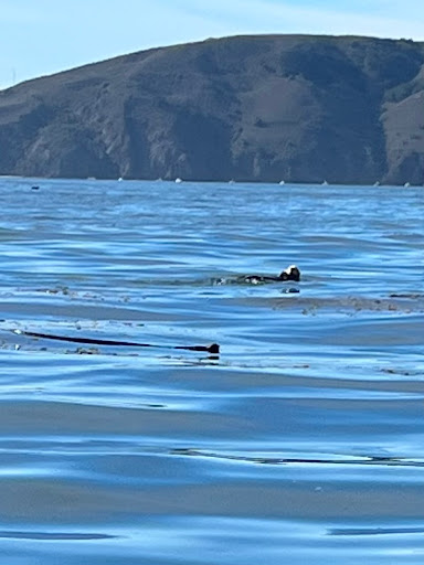 SLO.Tours image