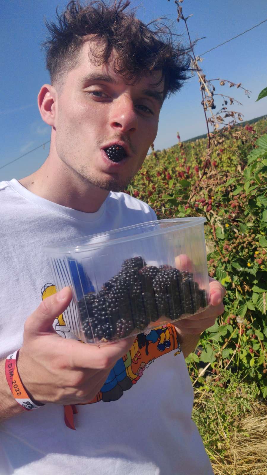 Photo n° 1 de l'avis de STEEVE. fait le 16/07/2022 à 14:55