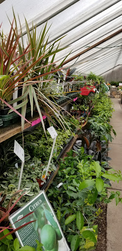 Florist «Skillins Greenhouses», reviews and photos, 89 Foreside Rd, Falmouth, ME 04105, USA