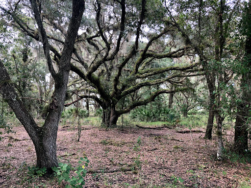 Nature Preserve «Duette Preserve», reviews and photos, 2649 Rawls Rd, Parrish, FL 34219, USA