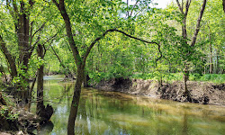 Honey Creek Preserve