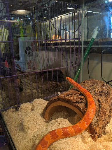 Pet Store «A to Z Pets», reviews and photos, 16010 SE Division St, Portland, OR 97236, USA